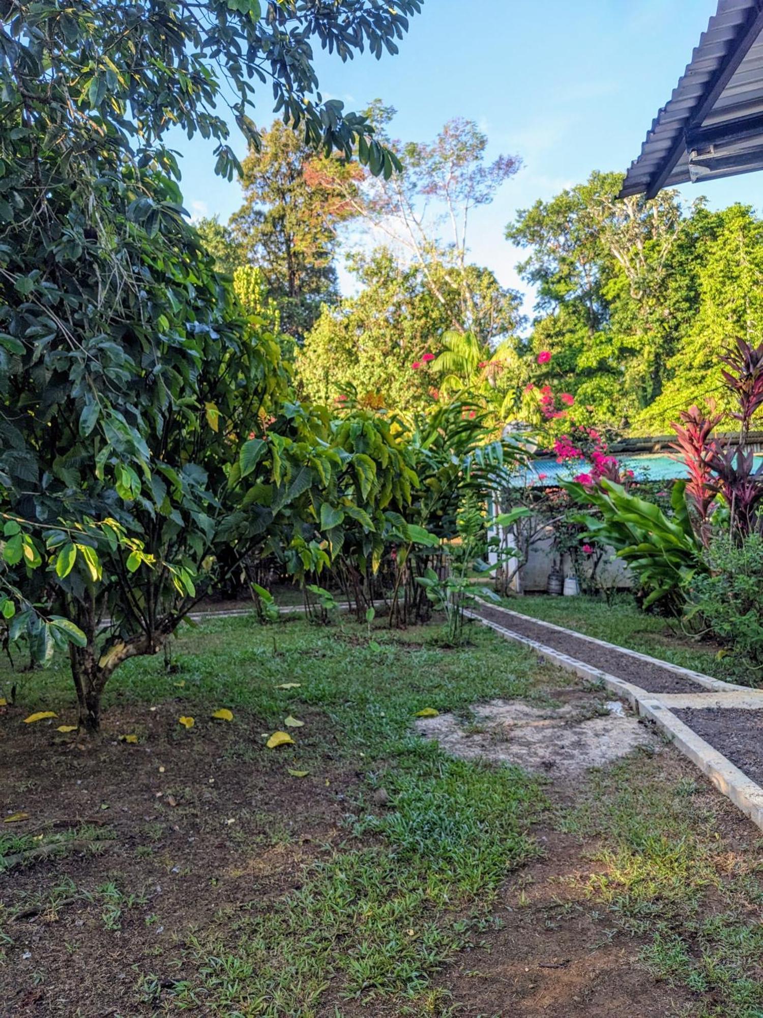 Cabinas De Ana Drake Bay Zewnętrze zdjęcie