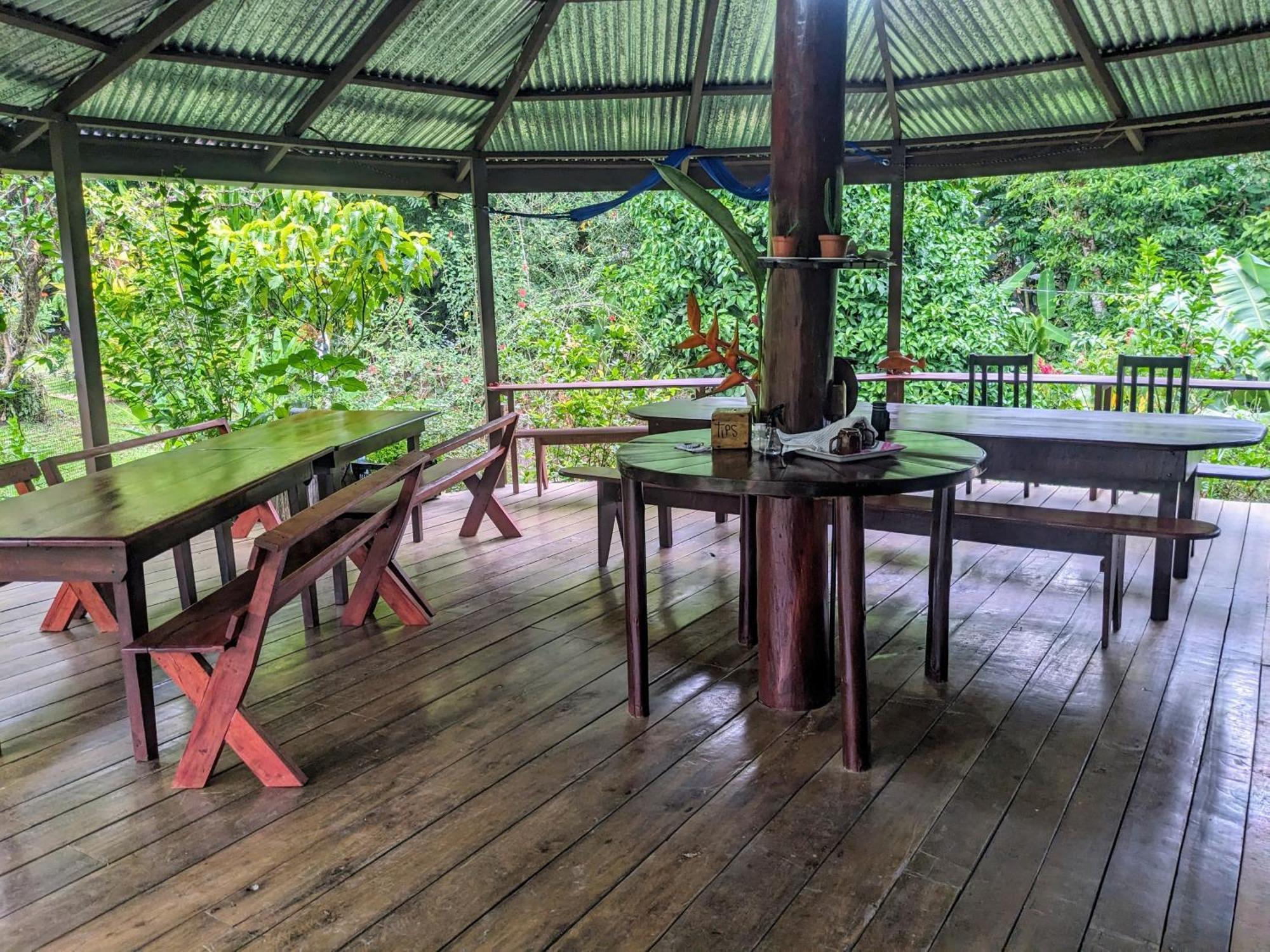 Cabinas De Ana Drake Bay Zewnętrze zdjęcie